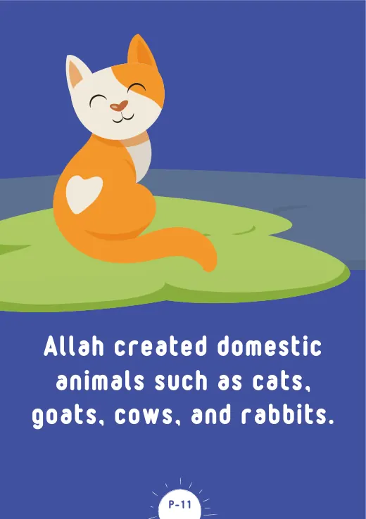 Page 13 of Allah is the Creator