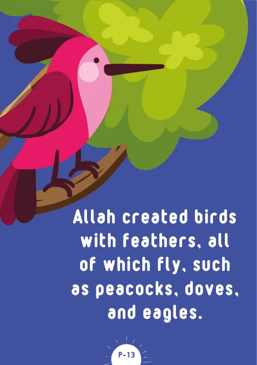 Page 15 of Allah is the Creator